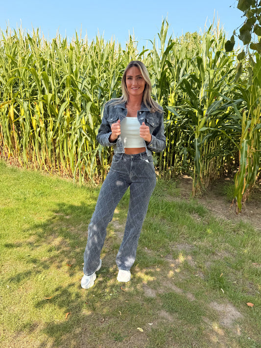 Jeans jas grijs